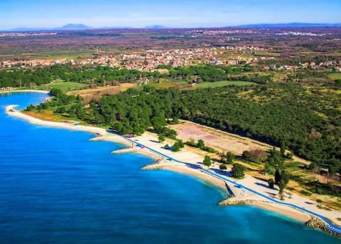 Valla-free Bikes-adults Only *