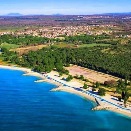 Valla-free Bikes-adults Only *